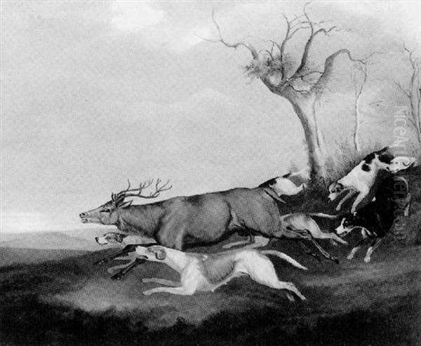 Stag Hunt - view 1