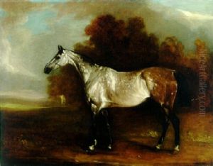 A Grey Horse In A Landscape