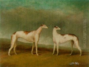 Two Greyhounds by John E. Ferneley