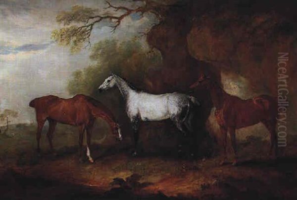 Three Hunters Belonging To Robert Myddlelton-biddulph - view 1