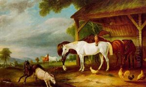 Horses Outside A Stable And A Colt And Donkey Frolicking