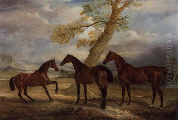 Three Of Lord Rokeby's Hunters At Grass - view 1
