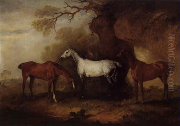 Three Hunters Belonging To Robert Myddelton-biddulp - view 1