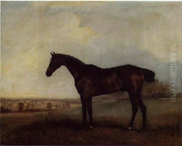 A Hunter In An Extensive Landscape - view 1