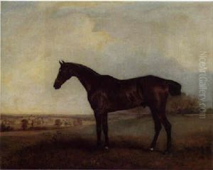 A Hunter In An Extensive Landscape by John E. Ferneley