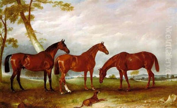 "marvel", "kingfish", And "the Lad", The Hunters Of William Angerstein Esq. With "spring", A Greyhound In An Extensive Wooded Landscape - view 1