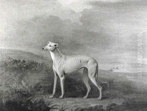 A Greyhound In A Landscape by John E. Ferneley