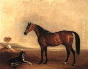 A Bay Arab Stallion, The Property Of Sir George Palmer, Bt. And A Saluki