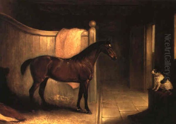 A Bay Hunter, The Property Of H.g. Surtees Of Frenchay - view 1