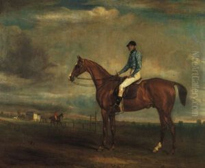 Lord Elcho's Bay Racehorse, Philip, With Jockey Up