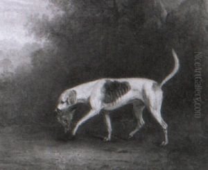 Portrait Of Rockwood, A Celebrated Hound Of His Grace The Duke Of Rutland