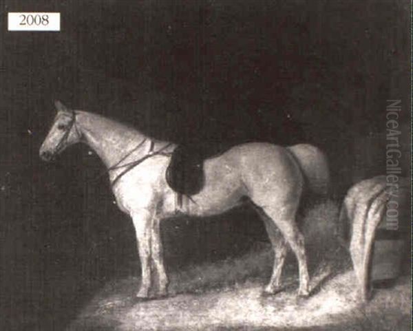 Horse In A Stable - view 1