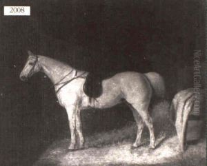 Horse In A Stable Horse In A Stable