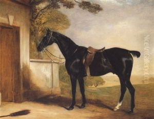 Buckle, The First Lord Chesham's Hunter, In A Land- Scape Buckle, The First Lord Chesham's Hunter, In A Land- Scape