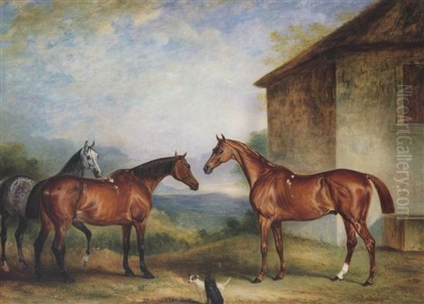 Three Hunters Belonging To John Sidebottom, Esq - view 1