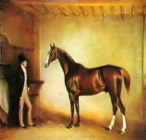 Cigar, Mr. W.l. Sterling Crawford's Hunter, In A Stable