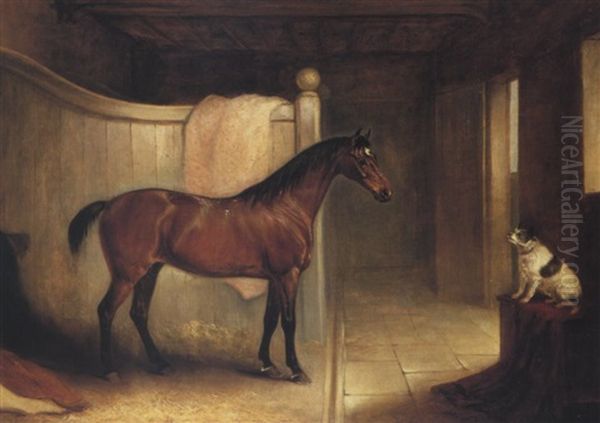 A Bay Hunter, The Property Of H.g. Surtees Of Frenchay, In A Loosebox With A Terrier To The Right - view 1