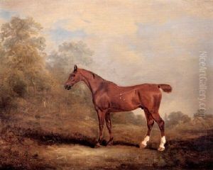 Cecil, A Favorite Hunter Of The Earl Of Jersey In A         Landscape