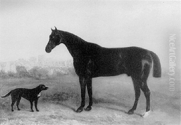 A Black Hunter And A Dog - view 1