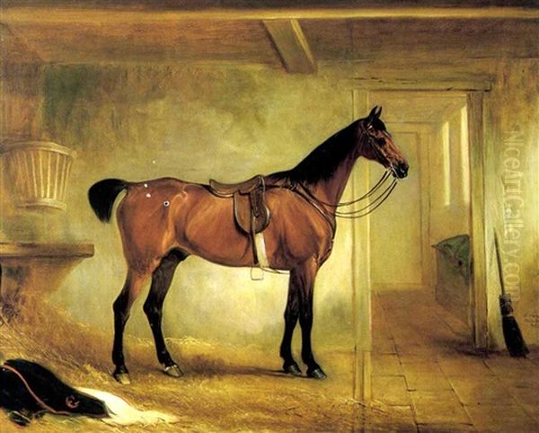 A Bay Hunter Saddled Up In A Stable - view 1