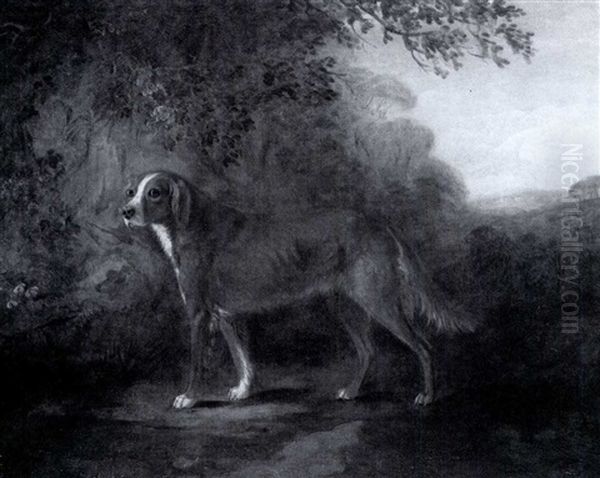 A Red Setter In A Landscape - view 1