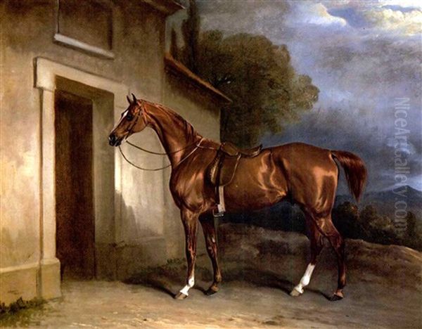 A Saddled Chestnut Hunter Beside A Stable - view 1