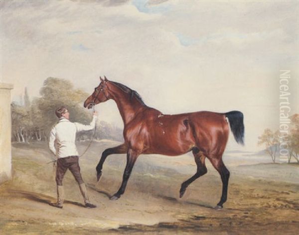 Massey Stanley's "doyler" With Groom In A Landscape - view 1