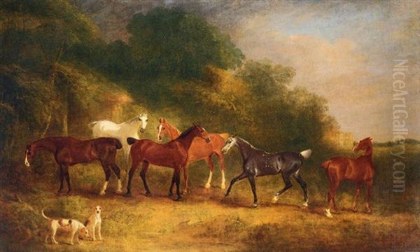 Horses And Hounds In The Grounds Of An Estate - view 1