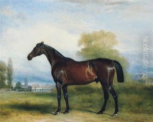 A Dark Brown Stallion In A Paddock, A Village In The Distance