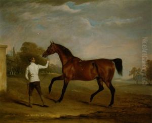 'doyler' Held By A Groom, The Property Of Massey Stanley, Esq.