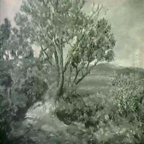 Paysage - view 1