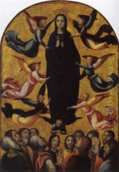 L'assuzione Della Vergine - view 1
