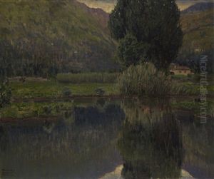 Riflessi Sull'acqua