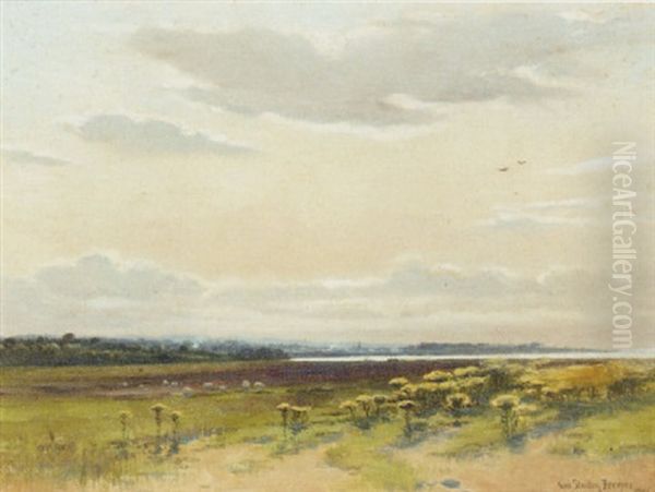 Sheep Grazing In A Scottish Lowland Landscape With A Coastal Town Beyond - view 1