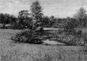 Summer Landscape by Isabelle H. Ferry