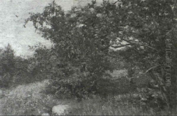 Summer Landscape - view 1
