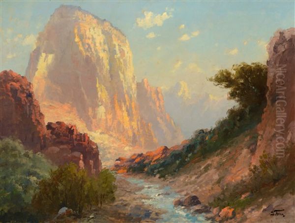 High Mountain Stream - view 1