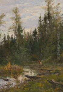 Untitled (forest Landscape) by John Fery