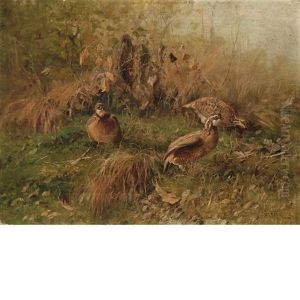 Three Quail In A Landscape