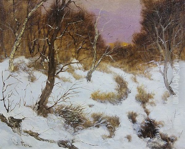 Sunset On A Snow Covered Field - view 1