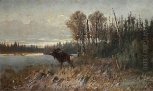 Paysage De L'est Americain A L'elan