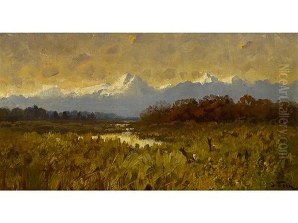 Jackson Hole, Wyoming - view 1