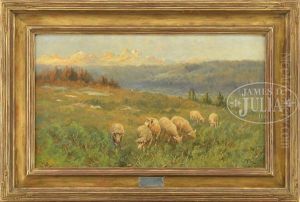 Sheep In Central Oregon