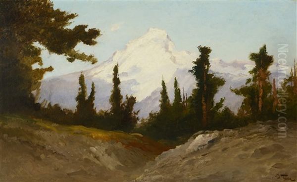 Mount Baker - view 1