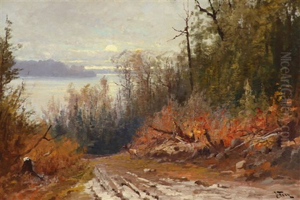 Flathead Lake - View From The East Shore - view 1