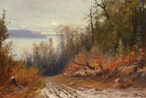 Flathead Lake - View From The East Shore by John Fery