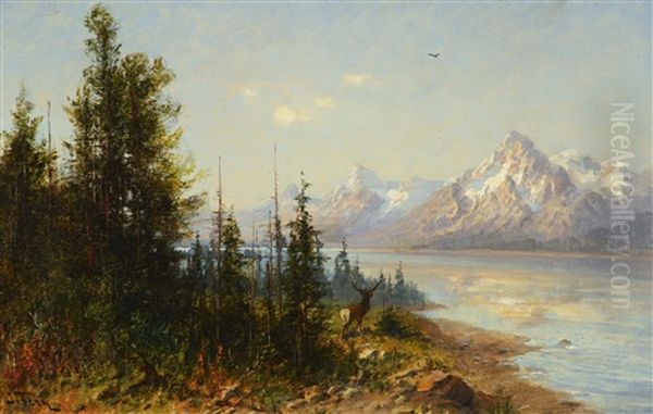 Jackson Lake Majesty, Wyoming - view 1