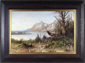 Western Mountain Lake With Elk by John Fery