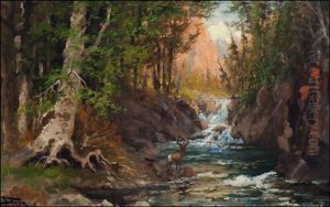 Woodland Solitude