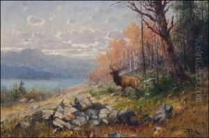 Elk In Fall Landscape by John Fery